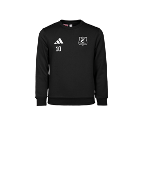adidas Entrada 26 Sweatshirt Kids Schwarz