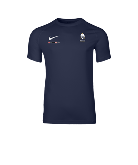 Nike Park VIII Trikot Blau F410