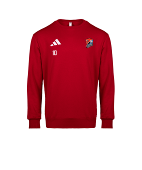adidas Entrada 26 Sweatshirt Rouge 