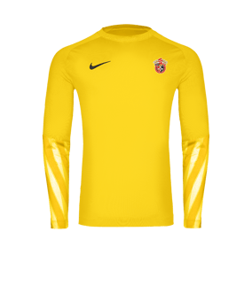 Nike Park V Trikot langarm Gelb F718