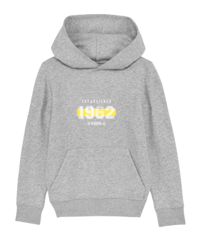 Merch Mini Cruiser Hoody Kids Heather Grey FC250