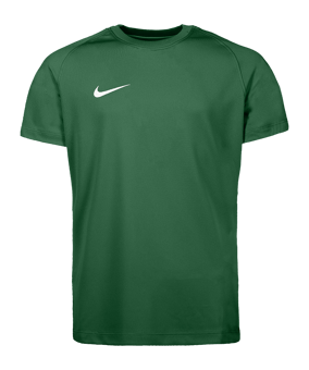 Nike Park VIII Trikot Kids Grün F302 - gruen
