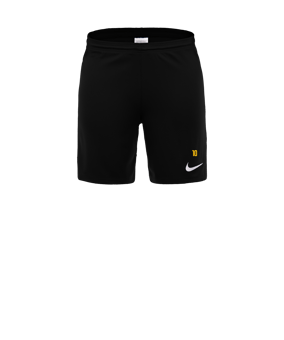 Nike Park III Court Noir C010 