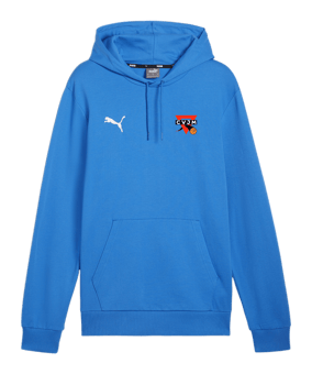 PUMA teamGOAL Casuals Hoody Blau F02