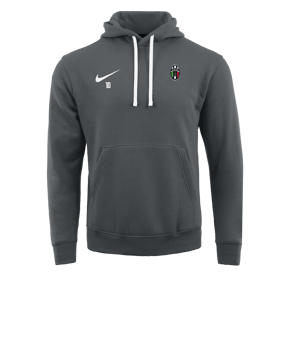 Sweat à capuche en polaire Nike Park 20 Gris blanc F071