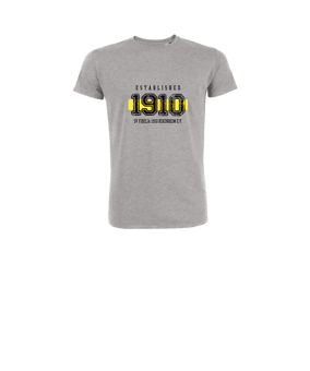 Merch Mini Creator 2.0 T-Shirt Kids Heather Grey | #established