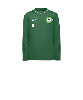 Nike Park 26 Longsleeve Kids Grün F302