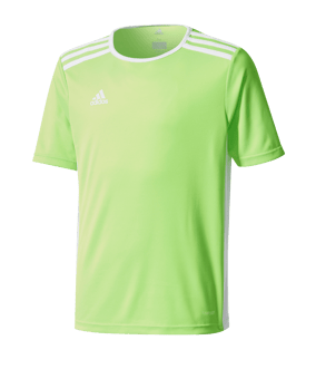 adidas Entrada Trikot 18 Kids Hellgrün Weiss - gruen