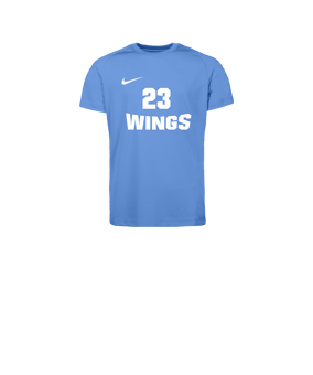 Nike Park VIII Trikot Kids Blau F412