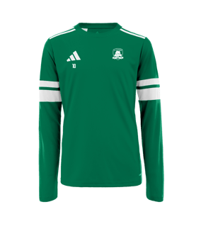Maillot adidas Squadra 25 vert 