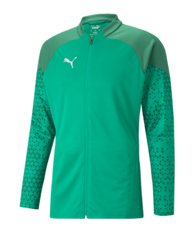 PUMA teamCUP Trainingsjacke Grün F05 - gruen