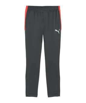 PUMA Individualliga Trainingshose Grau F10 - grau