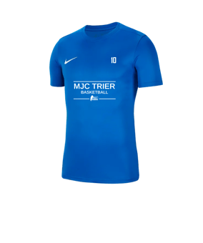 Nike Park VII Trikot kurzarm Blau F463