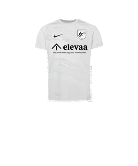 Nike Park VIII Trikot Kids Weiß F100