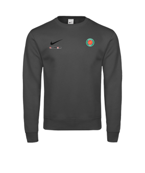 Nike Park 26 Sweatshirt Grau F063