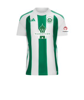 adidas Striped 24 Trikot Weiss Grün