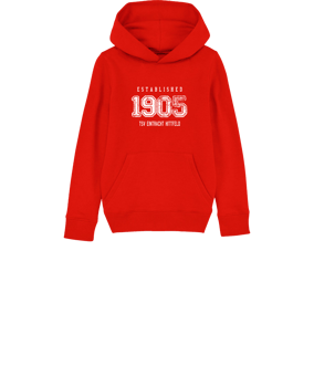 Merch Mini Cruiser 2.0 Hoody Kids Red | #established