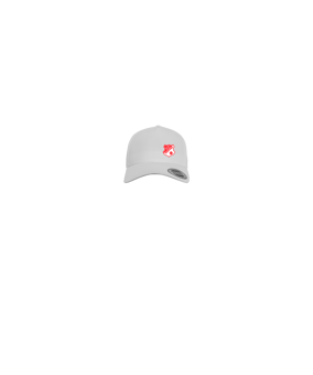 Merch 5 Panel Curved Snapback Cap Weiss | logo4c