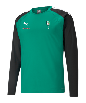 PUMA teamLIGA Trainig Sweatshirt Grün Schwarz F05