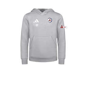 adidas Entrada 26 Hoody Kids Grau