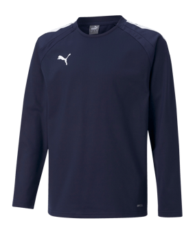 PUMA teamLIGA Sweatshirt Kids Blau F06 - blau