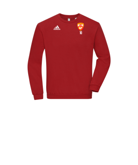 Sweatshirt enfant adidas Entrada 22 Rouge 