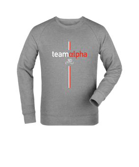 Merch Roller Sweatshirt Heather Grey FC250