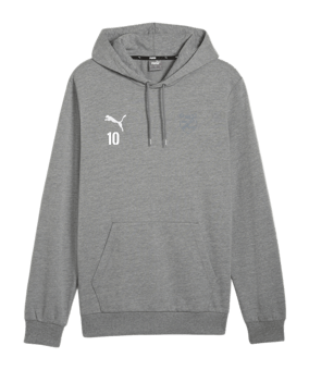 PUMA teamGOAL Casuals Hoody Grau F33