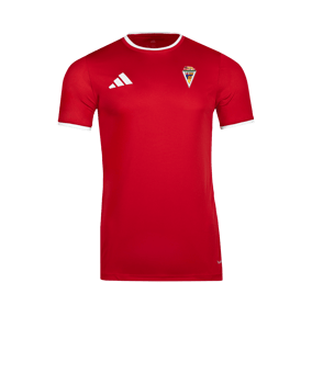Camiseta de juego 1 Adulto