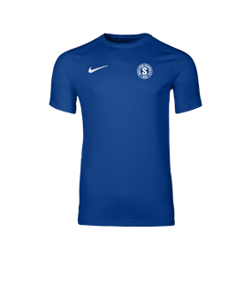 Nike Park VIII Trikot Blau F463
