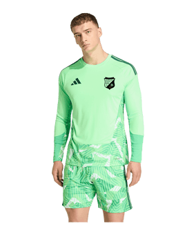 adidas Tiro 26 Torwarttrikot Langarm Grün