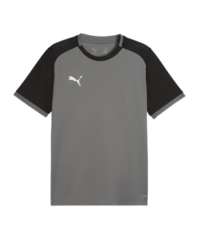 PUMA teamLIGA26 Matchday Trikot Grau F13 - grau