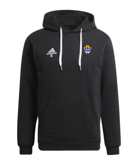 Sweat à capuche adidas Entrada 22 Noir 