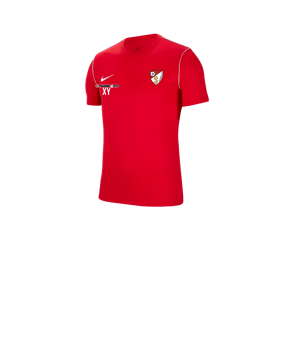Nike Park 20 T-Shirt Kids Rot F657