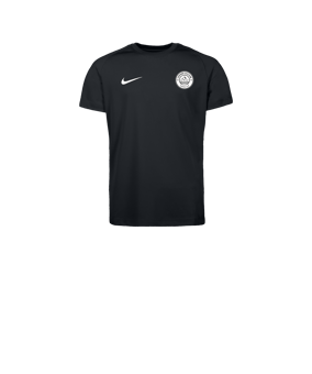 Nike Park VIII Maillot Enfants Noir C010