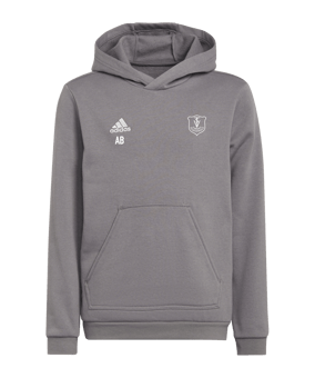 adidas Entrada 22 Hoody Kids Grau