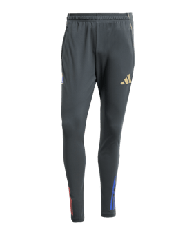 adidas Olympique Lyon Trainingshose Grau - grau
