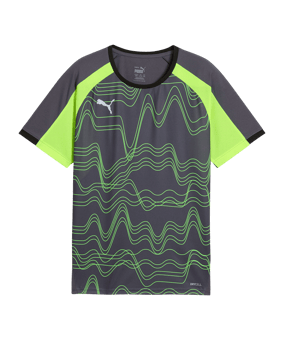 PUMA Trikot Kids Grau F08 - grau