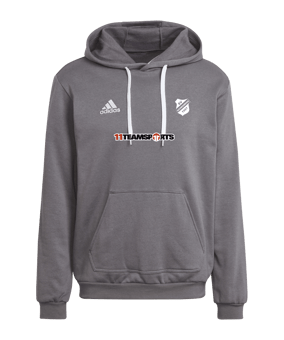 adidas Entrada 22 Hoody Grau