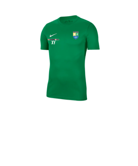 Nike Park VII Trikot kurzarm Kids Grün F302