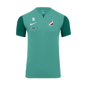 Nike Trophy V Trikot Türkis F354