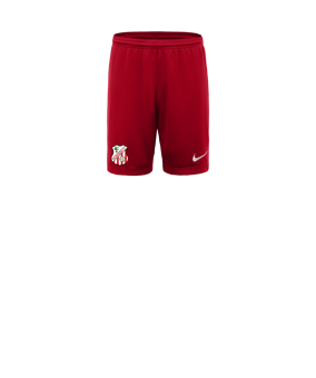 Nike Park III Pantalones cortos Niños Rojo C657 