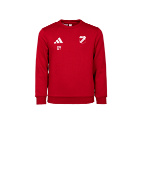 adidas Entrada 26 Sweatshirt Kids Rot