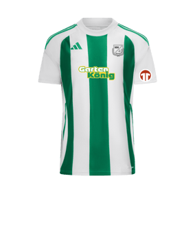 adidas Striped 24 Trikot Weiss Grün