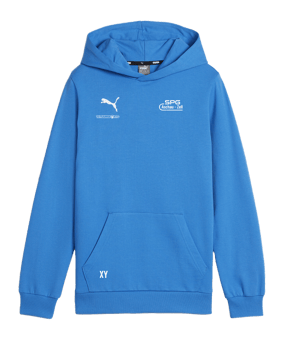 PUMA teamGOAL Casuals Hoody Kids Blau F02