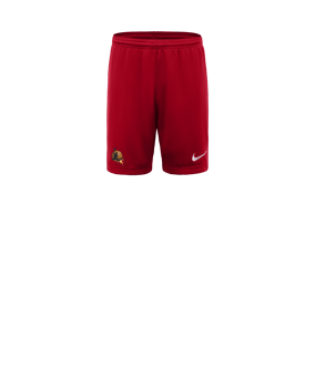 Nike Park III Court Enfants Rouge C657 