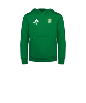 adidas Entrada 26 Sweatshirt à capuche Enfants Vert