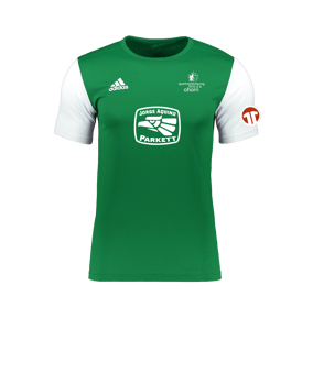 adidas Estro 19 Trikot kurzarm Grün Weiss