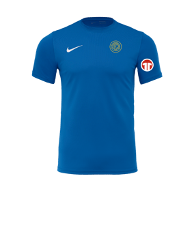 Nike Park VII Trikot kurzarm Blau F463