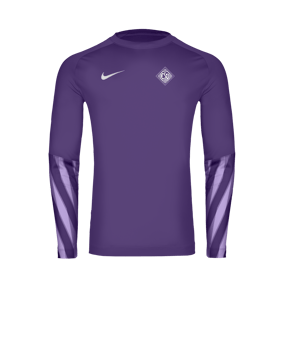 Nike Park V Torwarttrikot Langarm Lila F507